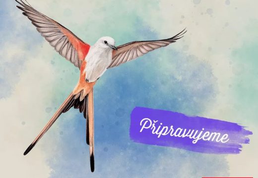 MindOK vydá hru Wingspan, plnou krásných ptáčků